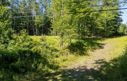 Pleasant Valley Road, Brattleboro, VT 05301