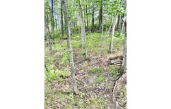 17151 ARCHIBALD LAKE Road, TOWNSEND, WI 54175