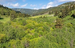 Willow Creek N Fork Road, Livingston, MT 59047
