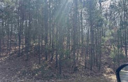 Mustang Drive lot: 49, Clinton, AR 72031