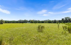 NW 30th St, Chiefland, FL 32626