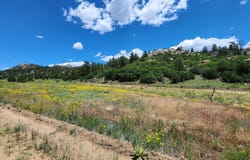 Big Bow Drive, Cotopaxi, CO 81223