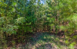 Westridge Drive lot: 159, Bostic, NC 28018