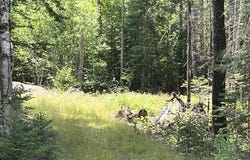Bemis Road lot: 24A, Rangeley Plt, ME 04970