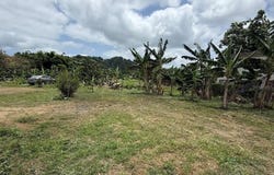 BO. LIMONES, YABUCOA, 00767