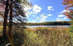 Camp 23 Road, Germfask, MI 49836