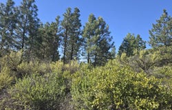 Cote Canyon, Sprague River, OR 97639