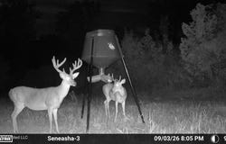 Cr 4001, Goodman, MS 39079