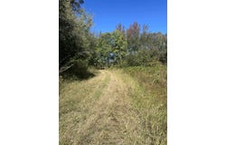 WALLS Rd, Somerville, TN 38068