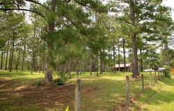 340 Joshlyn Rd., Fitzgerald, GA 31750