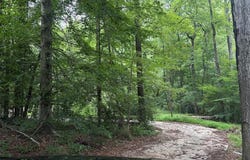 4824 Flakes Mill Road, Ellenwood, GA 30294