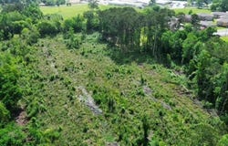 Hursey St., Jasper, TX 75951