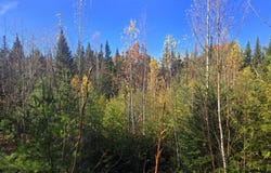 E Madrid Road lot: 1A, Phillips, ME 04966