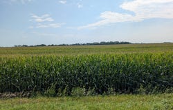 15670 610th Ave, Chokio, MN 56221