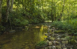 Snake Hollow Rd, Sneedville, TN 37869