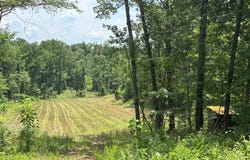 Hamilton Rd TR # 1, SPRINGVILLE, TN 38256