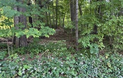 2 Kimmick Road, Old Lyme, CT 06371