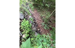 Johns Mountain Road, Vilas, NC 28692