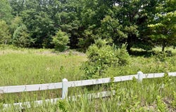 E Sandy Lane, Cedar, MI 49621