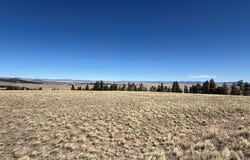 197 Baler Ct, Hartsel, CO 80449