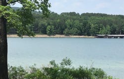 L58 Davidson, Edgemont, AR 72044