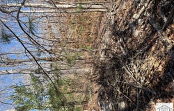 Abram Penn Hwy, Patrick Springs, VA 24133