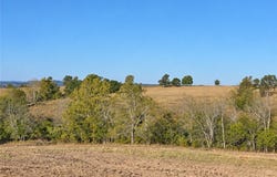 OOO W Lowery, Lead Hill, AR 72644