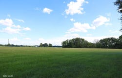 T.B.D. TOM KERRIGAN RD, Wisner, LA 71378
