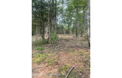 Bells Pond Road, Livingston, NY 12541