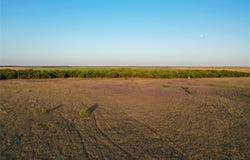CR 146, Rule, TX 79547
