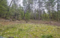925 Ferry Road, Grants Pass, OR 97526
