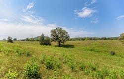Sunset Dr, Amherst, VA 24521