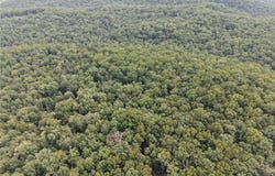 Section 32 Township 29 Range 3, Piedmont, MO 63957