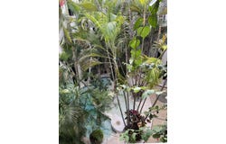 9 Royal Palms, TX 77710