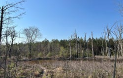 Hwy 245, Okolona, MS 38860