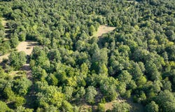 6725 E Windy Ln, Atoka, OK 74525