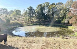 3169 Fairview Road, Salem, AR 72576