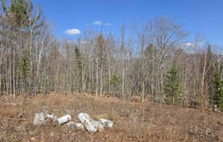 Cates Hill Road, Berlin, NH 03570