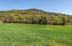 Green Mountain Turnpike, Chester, VT 05143