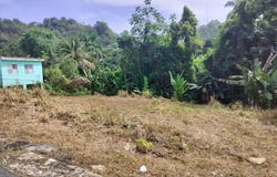 Caguana, Utuado, PR 00641