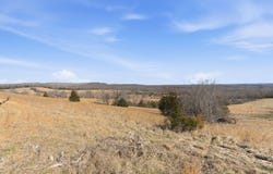 State Highway D Tract 1, Thornfield, MO 65762