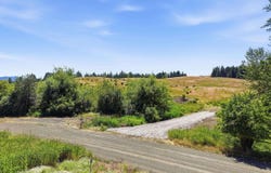 Reynolds, Princeton, ID 83857