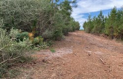 500 Pond Creek Rd, LUVERNE, AL 36049