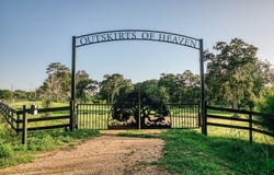 8321 Equestrian Lane, Washington, TX 77880