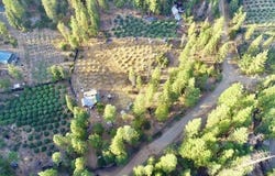 831 Pine Forest Dr, Hayfork, CA 96041
