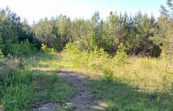927 Candy Kitchen Road, Temple, GA 30179