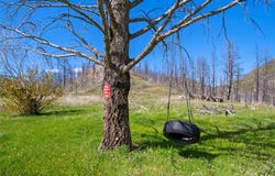 2010 US Hwy 12 E, Townsend, MT 59644