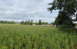 W15976 QUARTER DR, Goodman, WI 54125