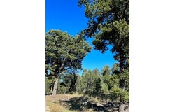 59 Silver Feather Trail, Pecos, NM 87552