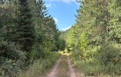ON FREBURGS RD, Saxon, WI 54559